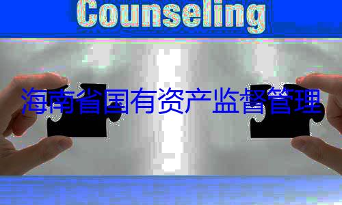 委副书记王资产监督管海南省国有有福接受审查调查理委员会党
